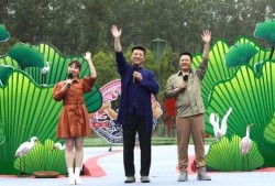 奉贤头条爆料新闻视频最新,视频揭露惊人事件，详情敬请关注