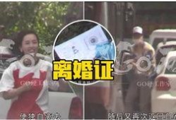 名星热点爆料最新消息,明星动向大揭秘，最新动态一网打尽！