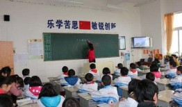 重庆小学课文爆料最新,传承巴渝文化，培育时代新人
